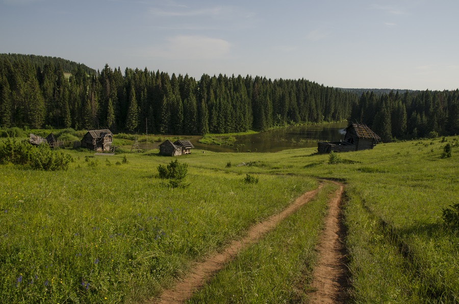 фото "Луг" метки: пейзаж, природа, 
