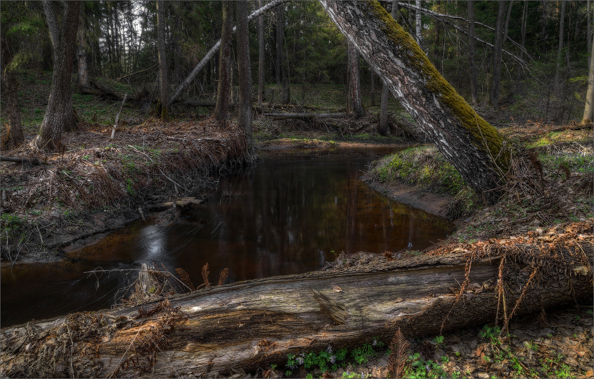 photo "***" tags: landscape, nature, 