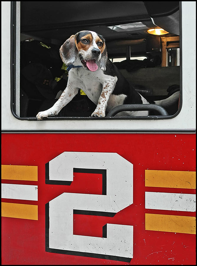 photo "Fire Chief" tags: humor, street, 