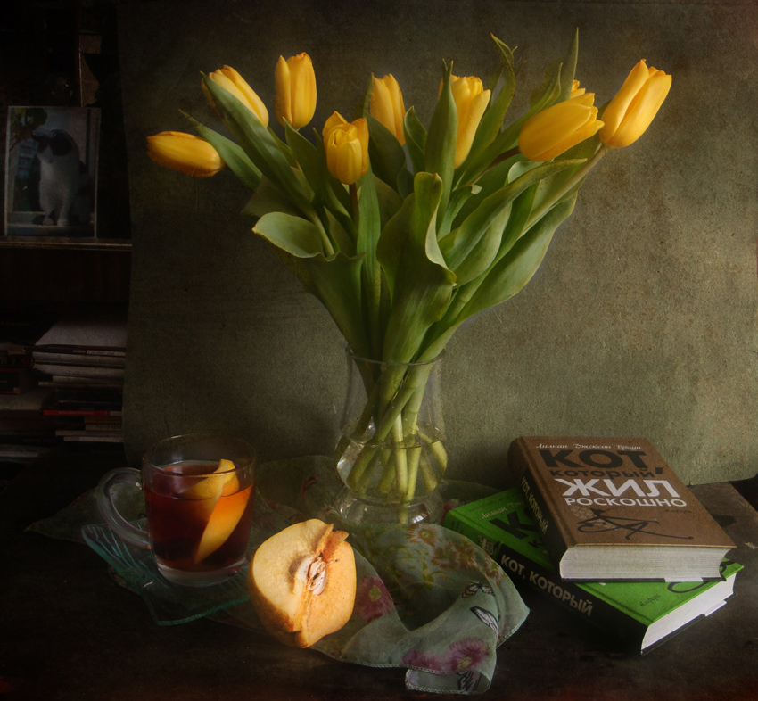 photo "***" tags: still life, tomcat, книга, тюльпаны