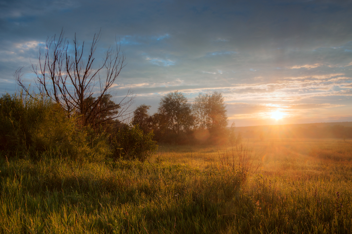 photo "***" tags: nature, landscape, 