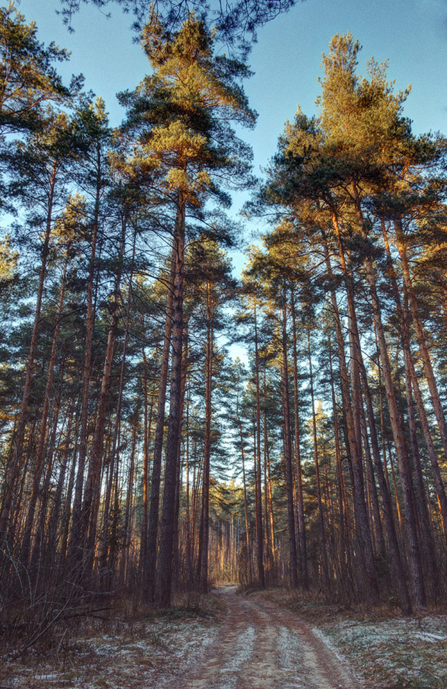 photo "***" tags: landscape, 