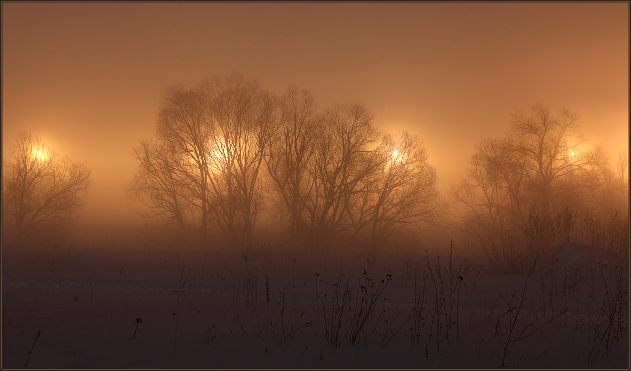 photo "the night ... the fog ... winter" tags: landscape, winter