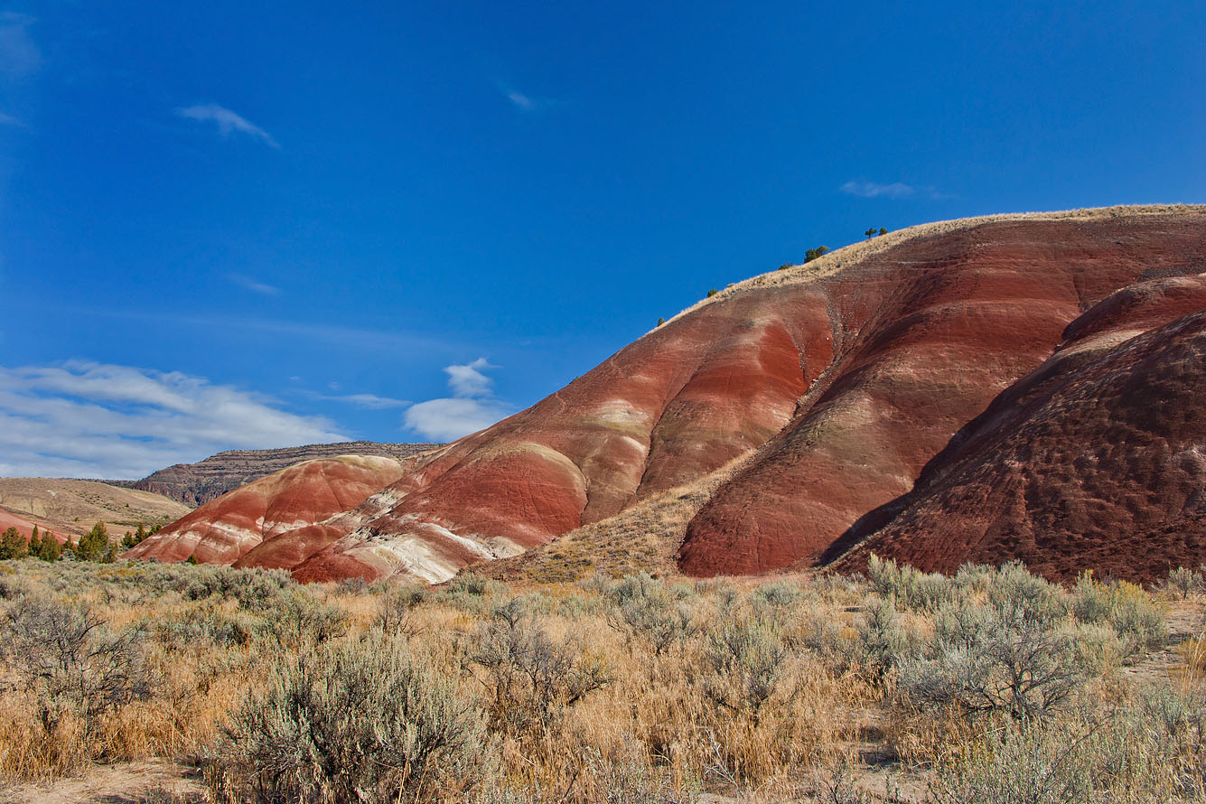 photo "Red paw" tags: landscape, nature, desert