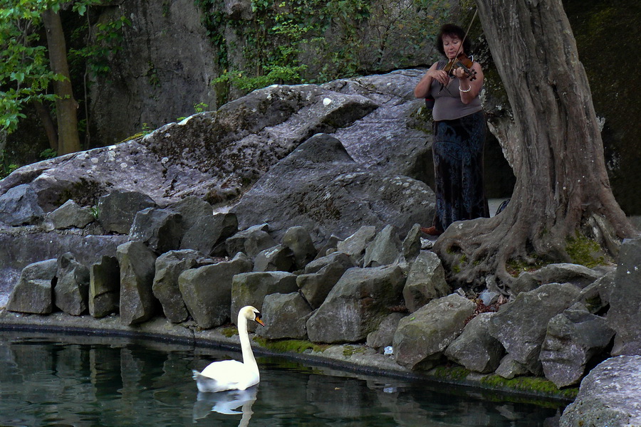 photo "Swan lake." tags: misc., Crimea, Воронцовский дворец, лебединое озеро.