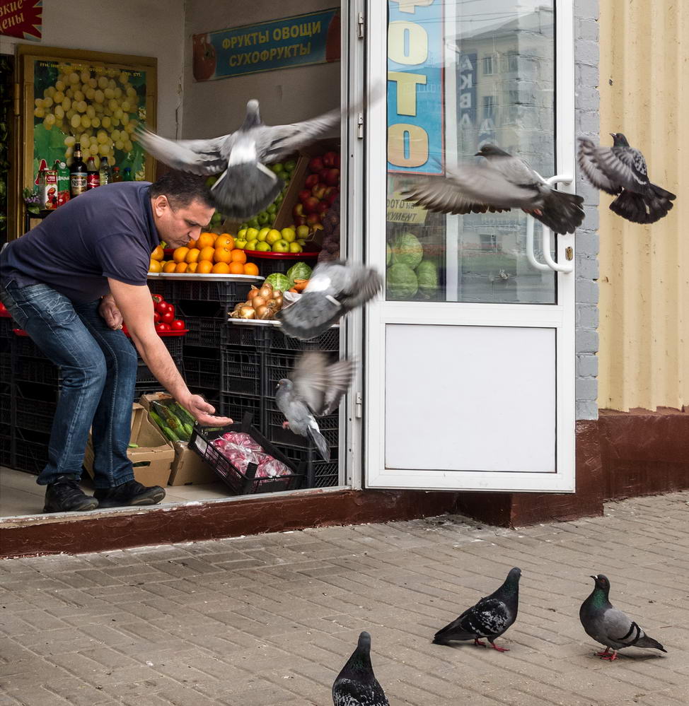 photo "***" tags: genre, 