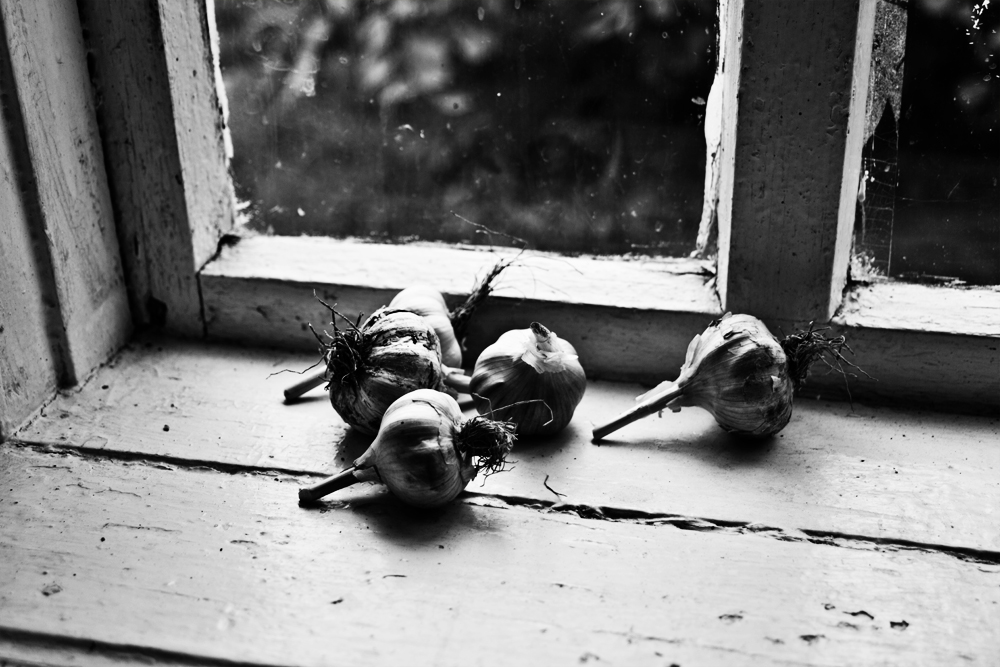 фото "В летней кухне на окне" метки: натюрморт, черно-белые, 
