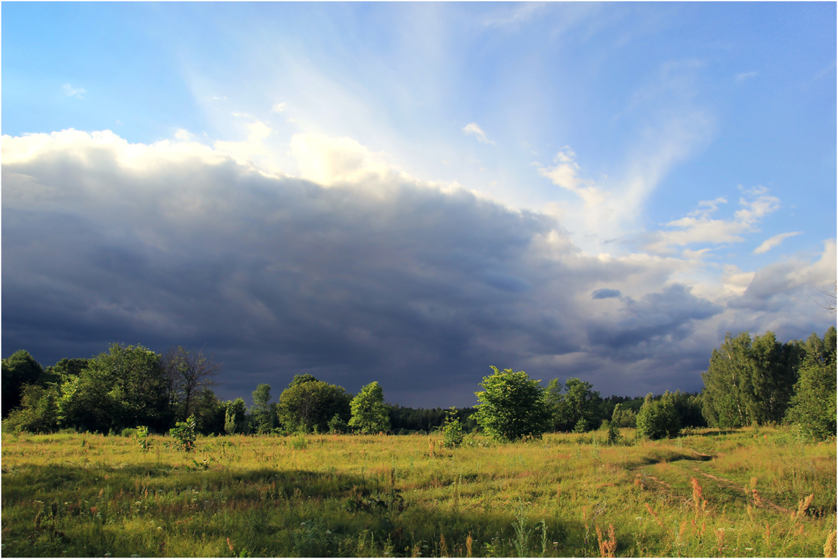 photo "Rain cloud." tags: landscape, storm cloud, summer, июль, луга