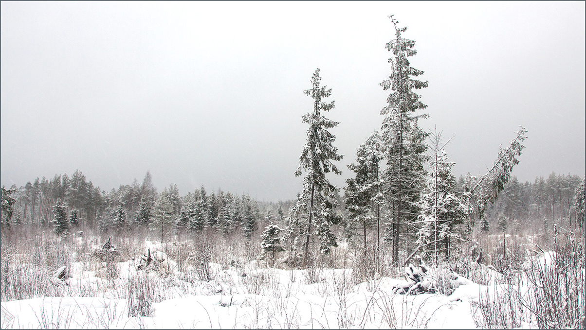 photo "gray gray winter day" tags: landscape, travel, nature, 