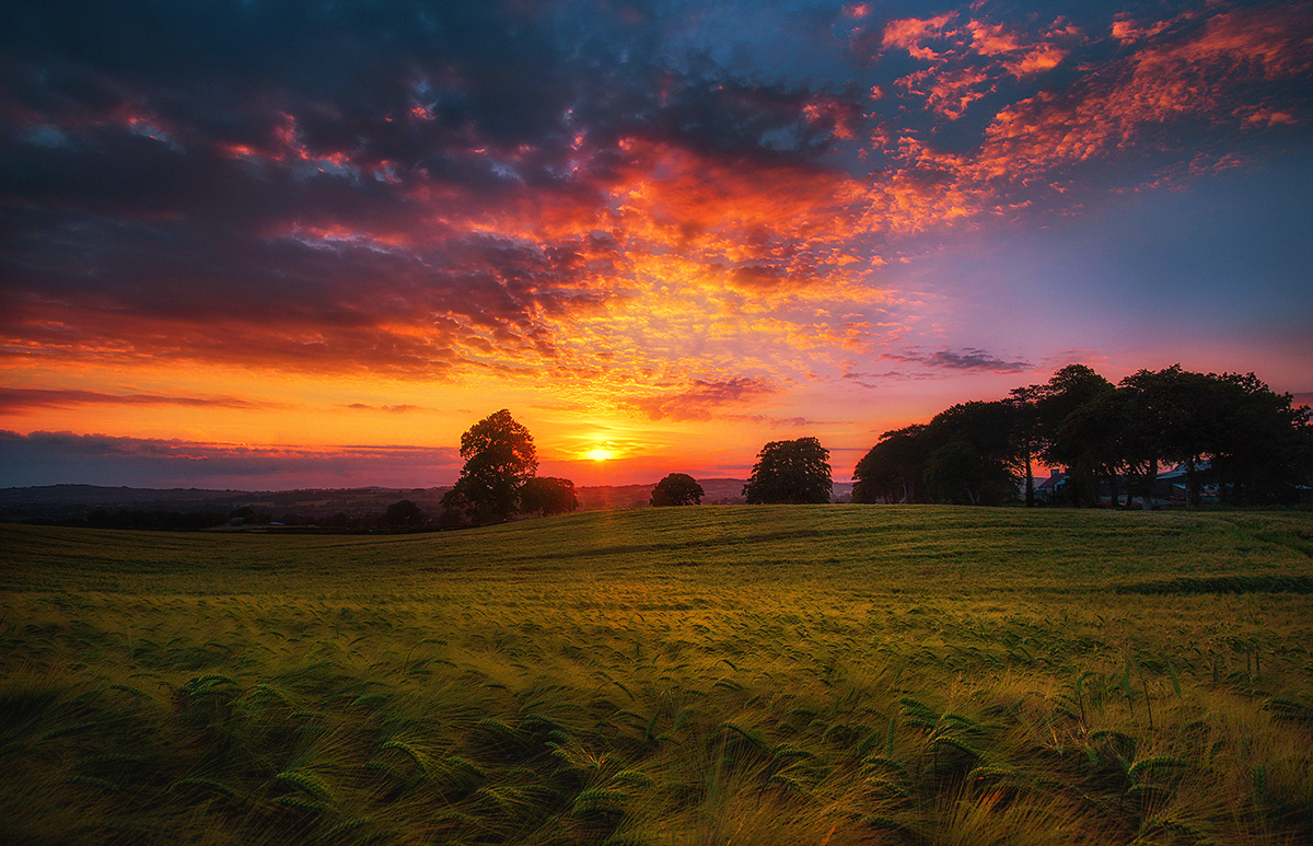 photo "Swingers" tags: landscape, 