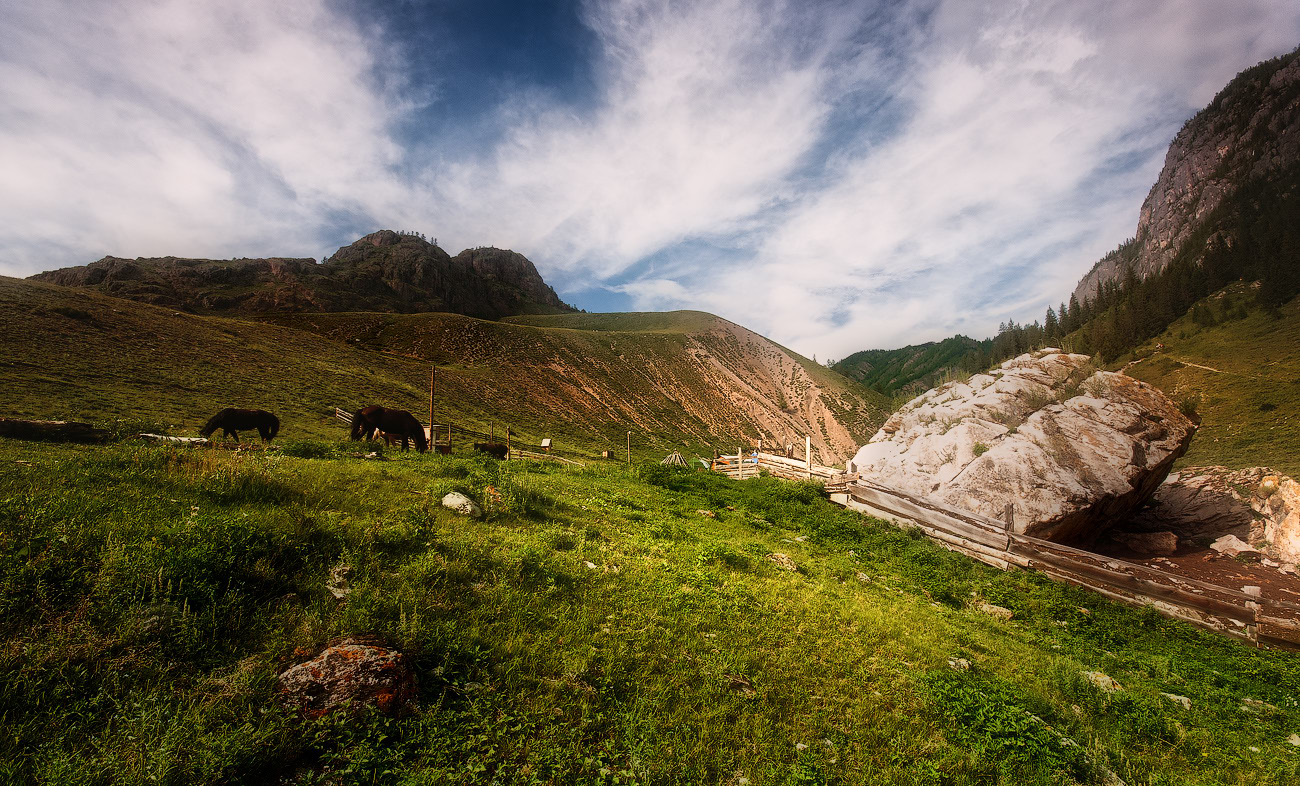 фото "Ищут кони водопою..." метки: пейзаж, природа, Алтай, горы, лето