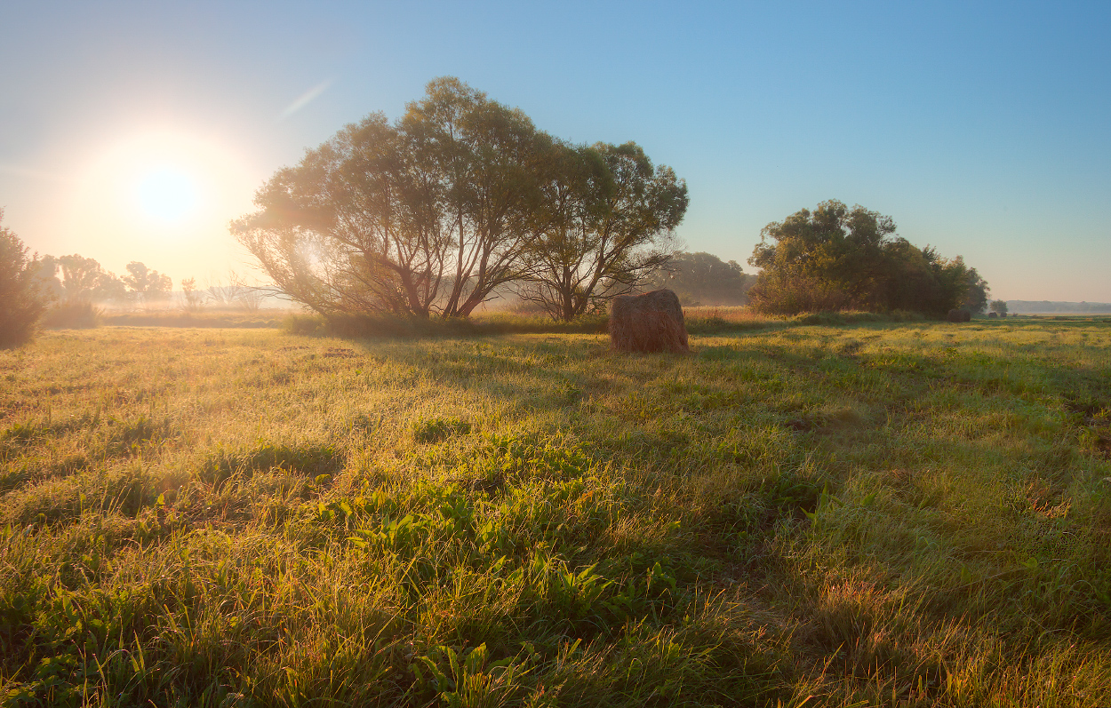 photo "***" tags: landscape, 