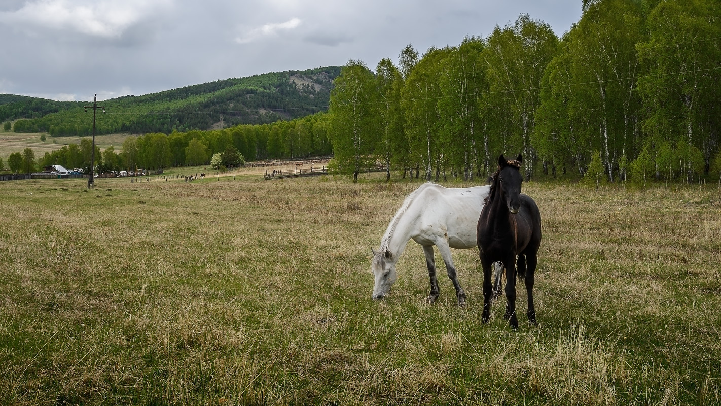 фото "***" метки: пейзаж, разное, 