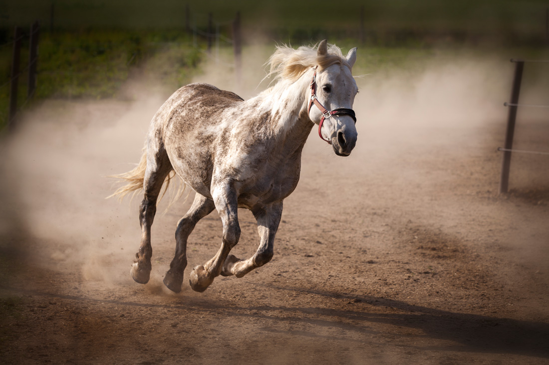 фото "Runaway" метки: репортаж, 