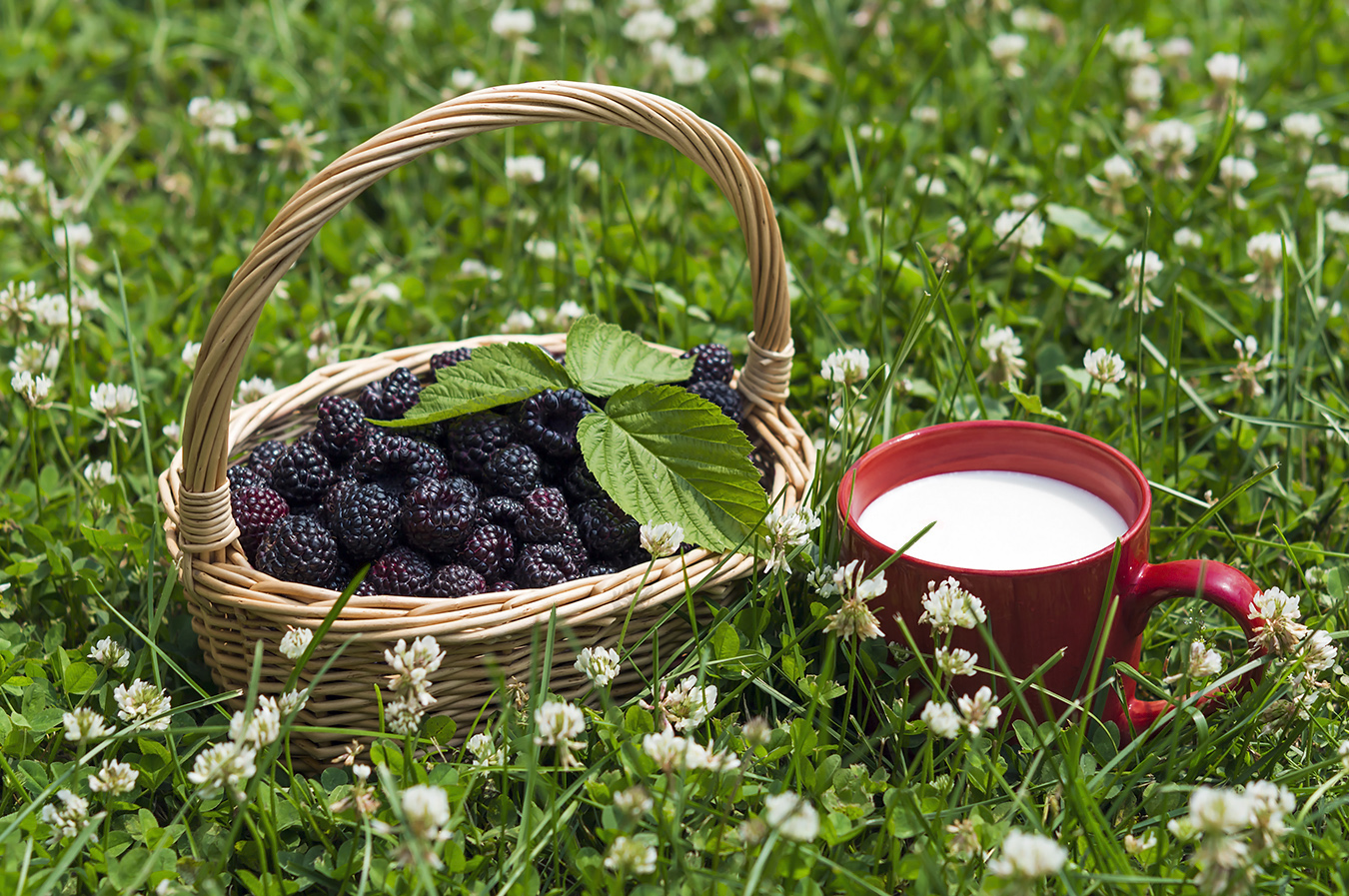 photo "***" tags: still life, grass, summer, корзина, кружка с молоком, малина, молоко