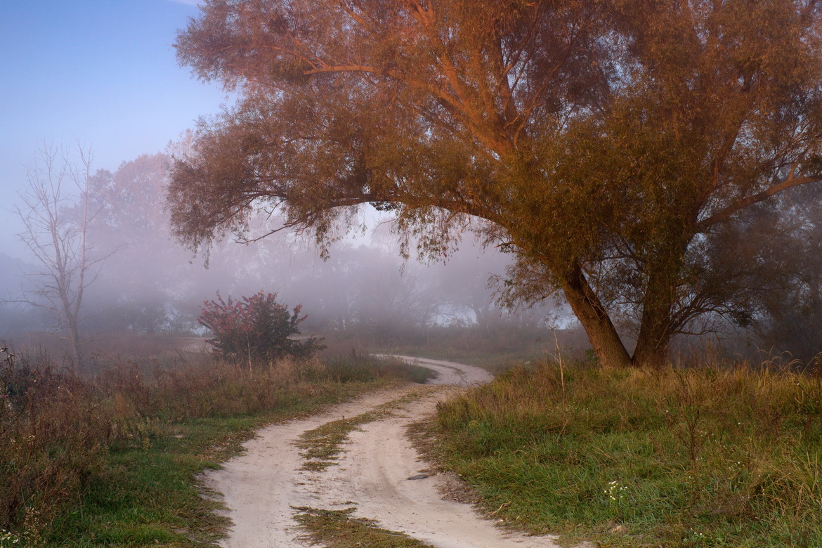 фото ". . ." метки: пейзаж, природа, 