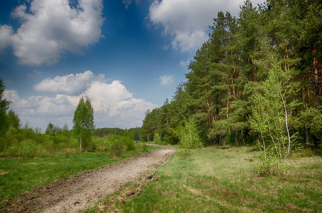 фото "Начало мая" метки: пейзаж, природа, 