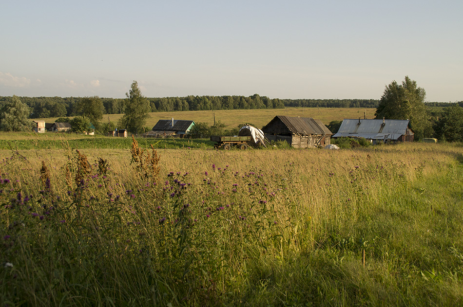 фото "Деревенский вечер." метки: пейзаж, природа, репортаж, 