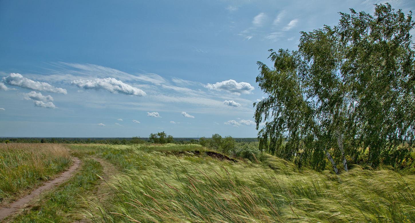 фото "Июльская" метки: пейзаж, 