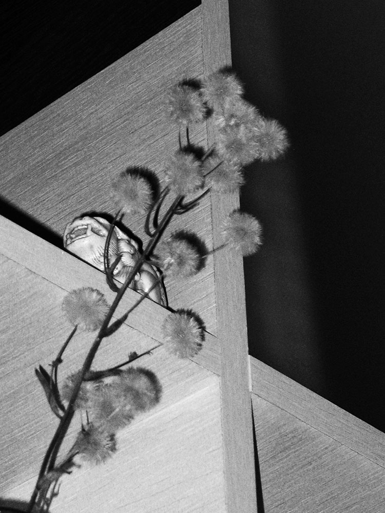 photo "Abstract still life" tags: still life, black&white, abstract, в доме, чёрно-белое