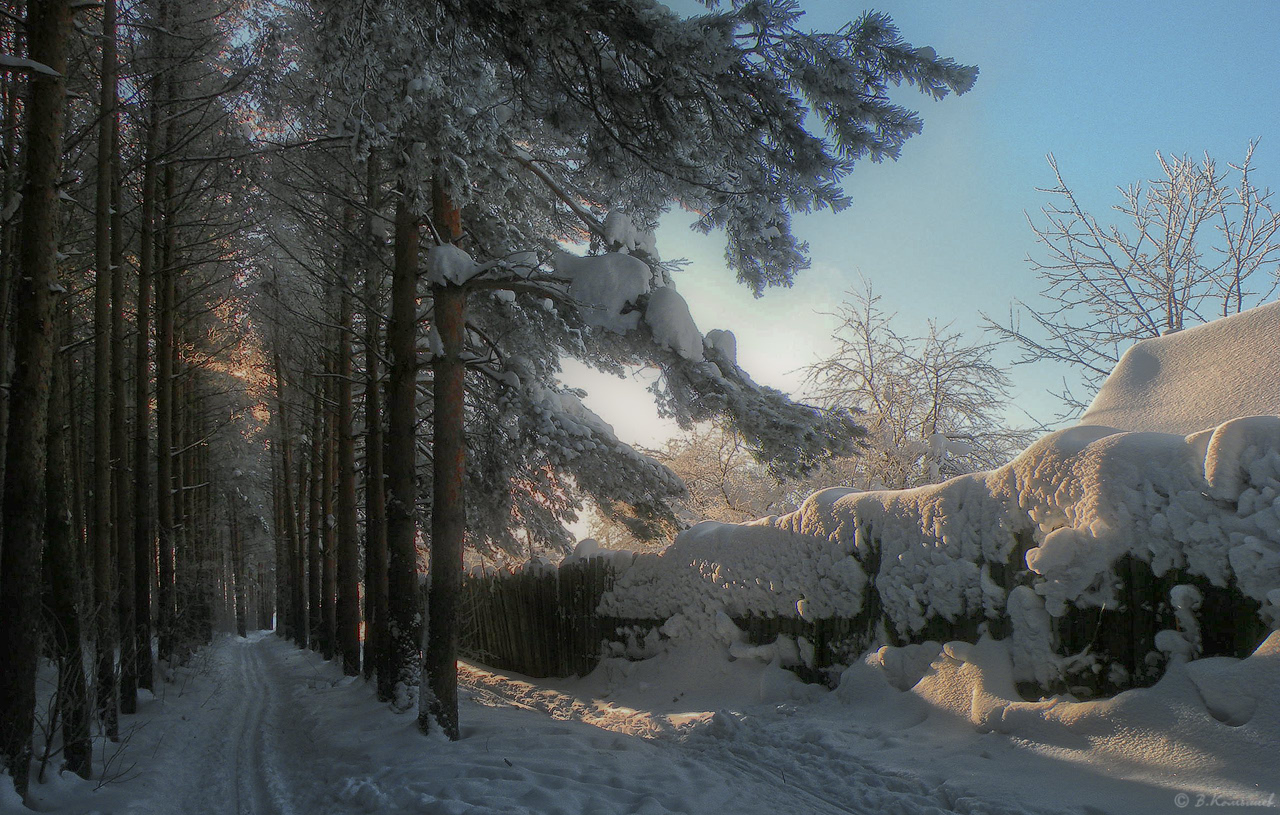 photo "***" tags: , forest, light, snow, winter, мороз