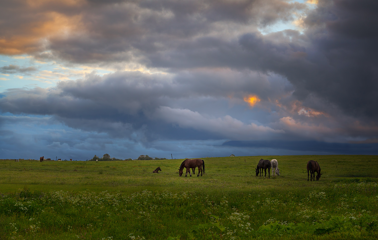 photo "***" tags: landscape, nature, 