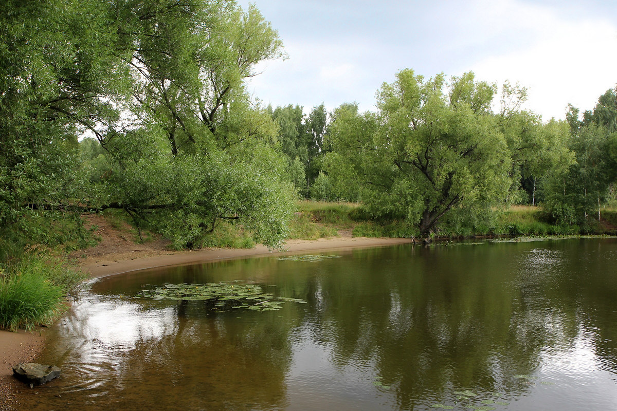 photo "Silence" tags: landscape, nature, Москва-река