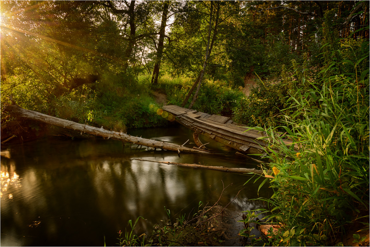 photo "***" tags: landscape, nature, travel, river, tree, water, Беларусь