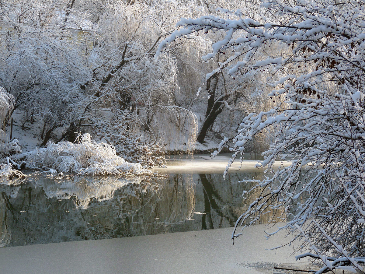 photo "***" tags: landscape, winter