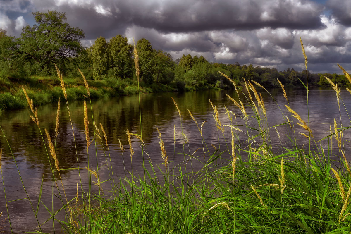 фото "На берегах Клязьмы" метки: пейзаж, вода, лето