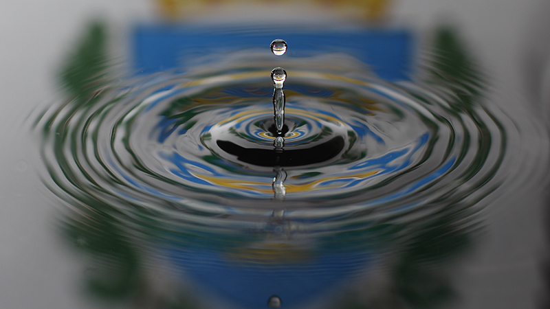 photo "Coat of Arms" tags: macro and close-up, coat of arms, drop, drops, water