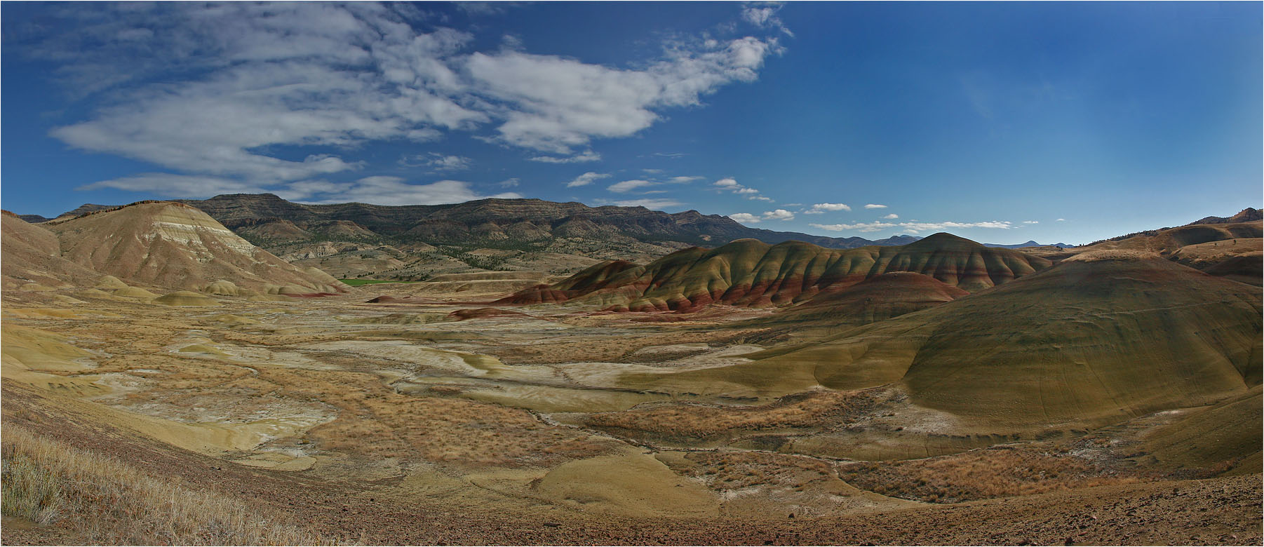 photo "Sunny desert." tags: nature, desert