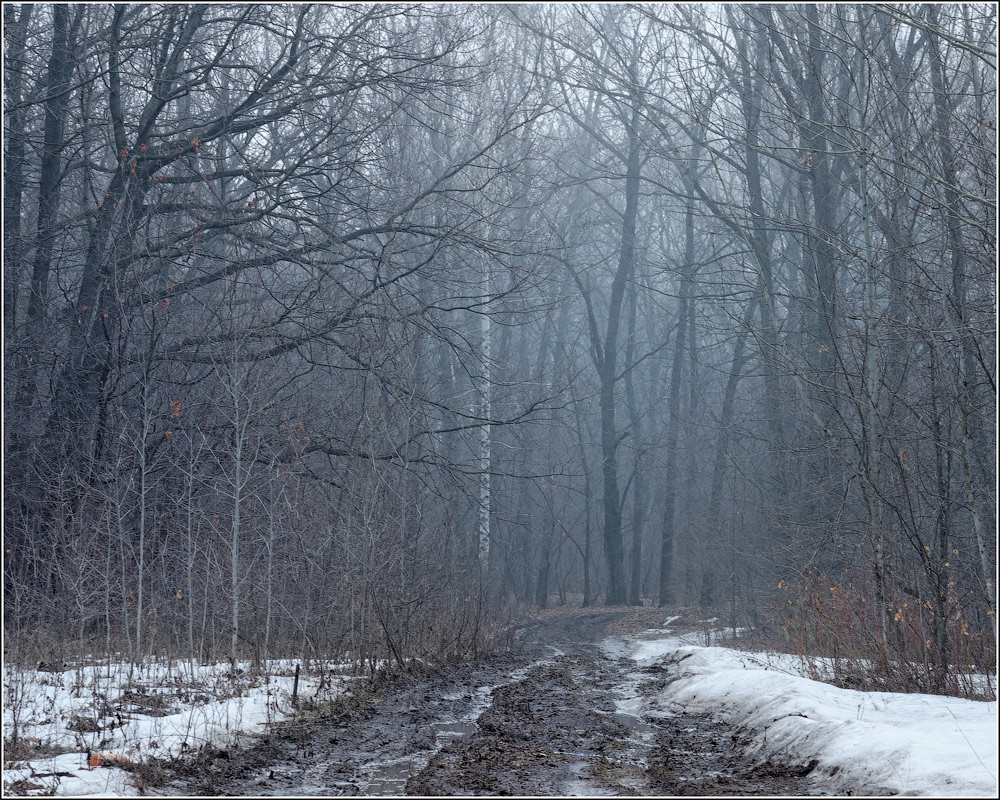 photo "***" tags: landscape, nature, 