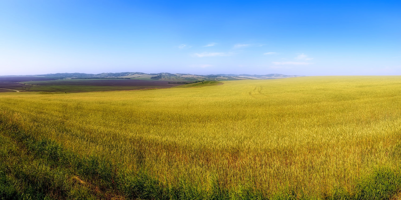 фото "Поля Сибири" метки: природа, пейзаж, панорама, 