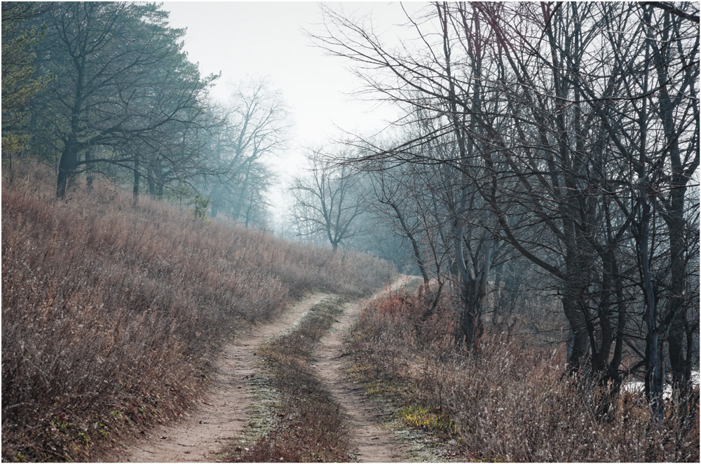 photo "***" tags: landscape, 