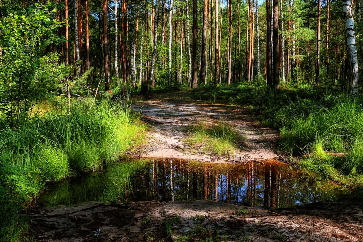 фото "***" метки: пейзаж, природа, путешествия, 