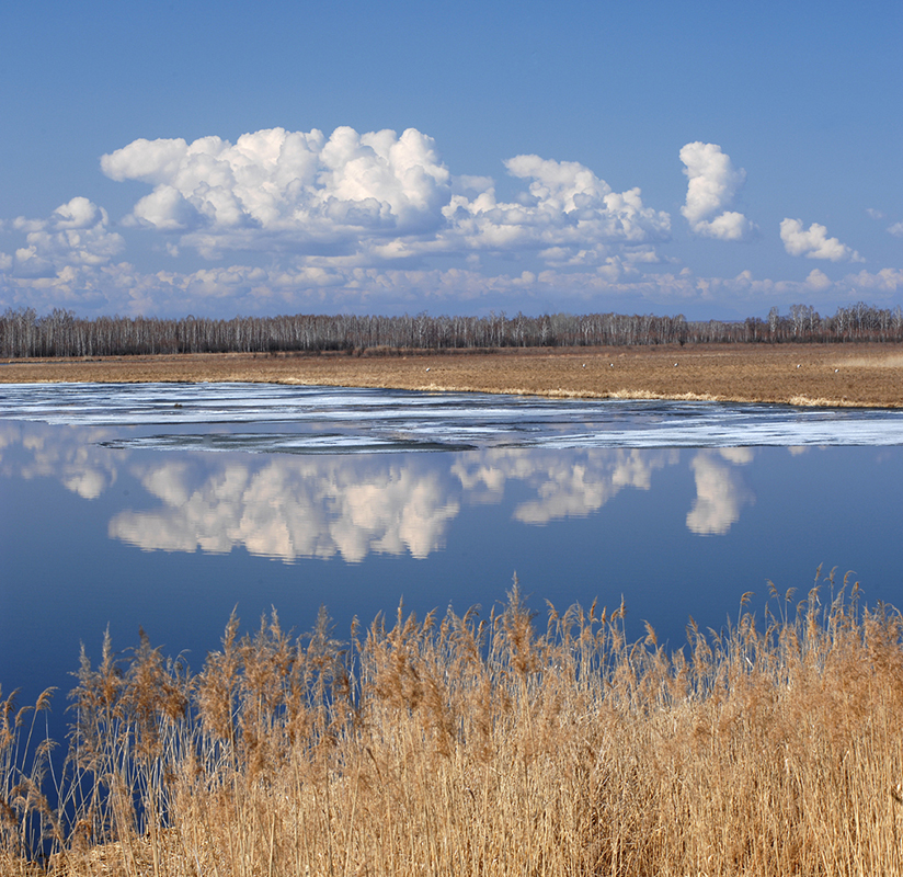 photo "***" tags: landscape, 