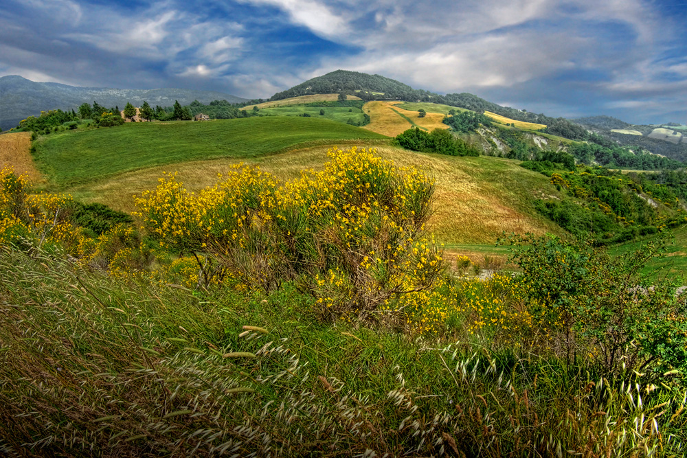photo "Tuscany" tags: landscape, Europe, clouds, flowers, spring