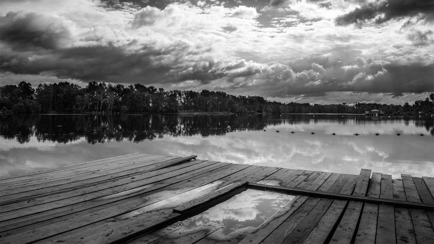 photo "***" tags: black&white, landscape, nature, 