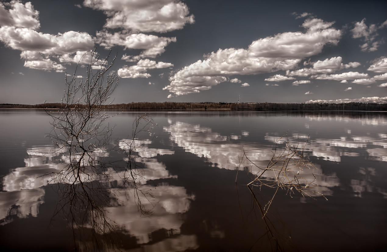 photo "In the end there will be only the sky" tags: landscape, reflections, sky, spring