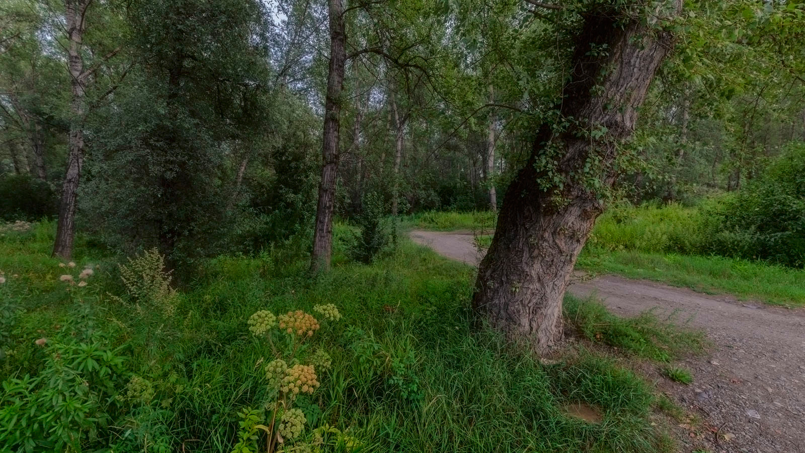 photo "***" tags: landscape, nature, panoramic, 