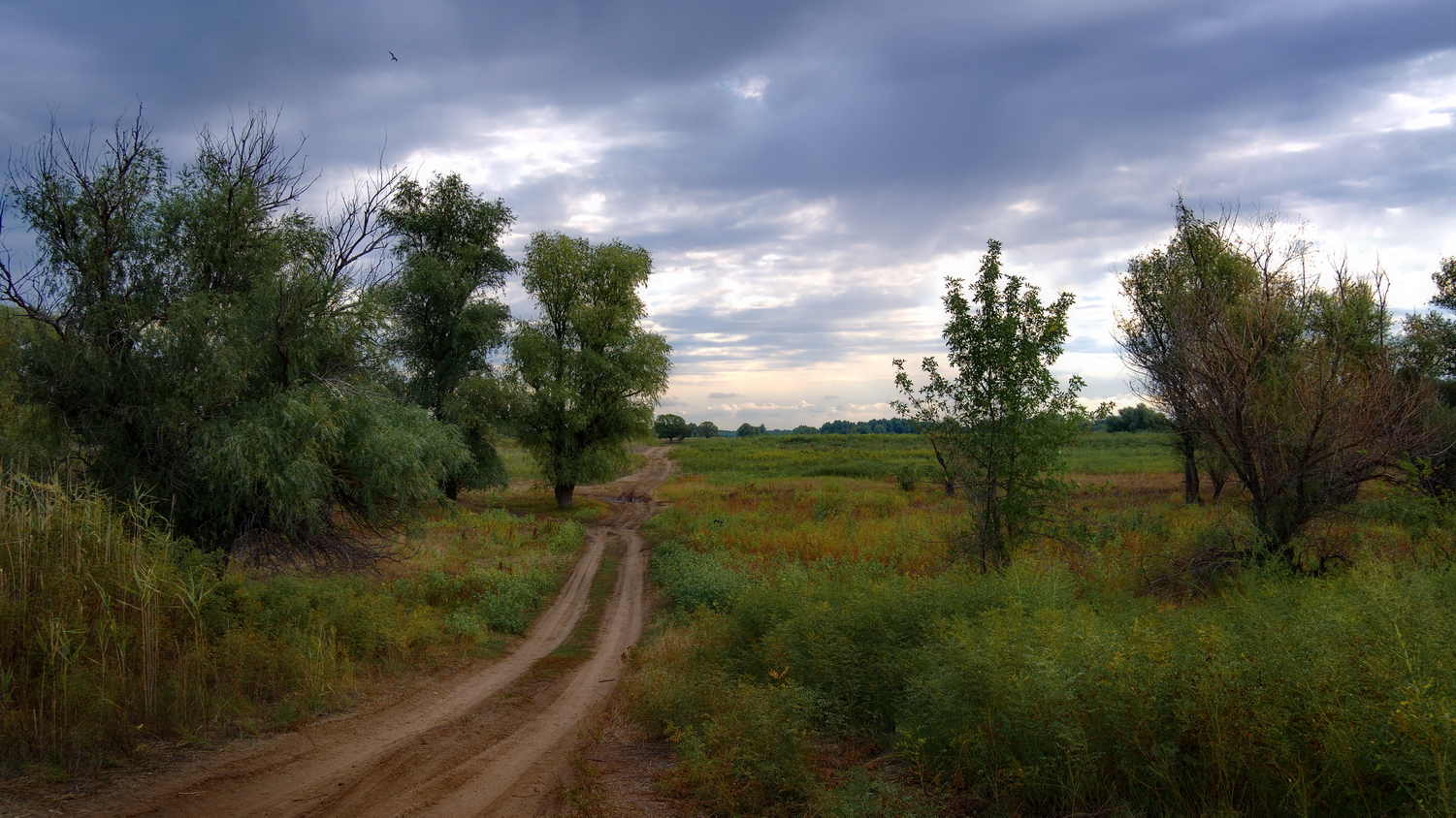 photo "***" tags: landscape, travel, 