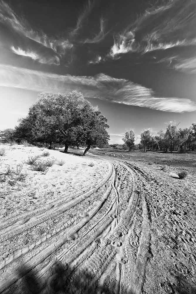 photo "***" tags: landscape, black&white, Russia