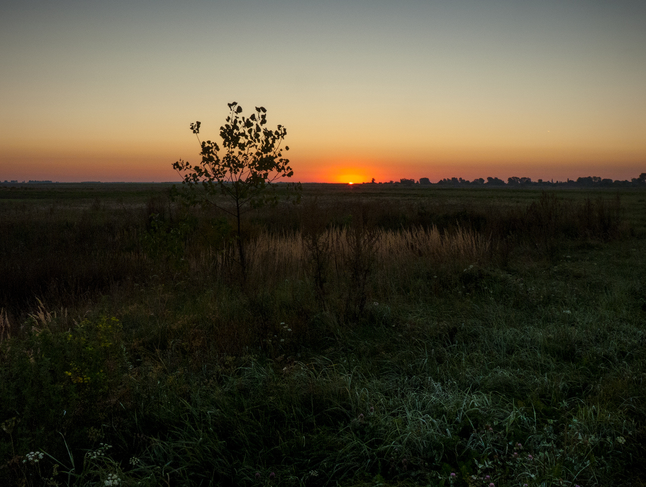 photo "***" tags: landscape, nature, grass, morning, road, sky, sun, Восход, солне