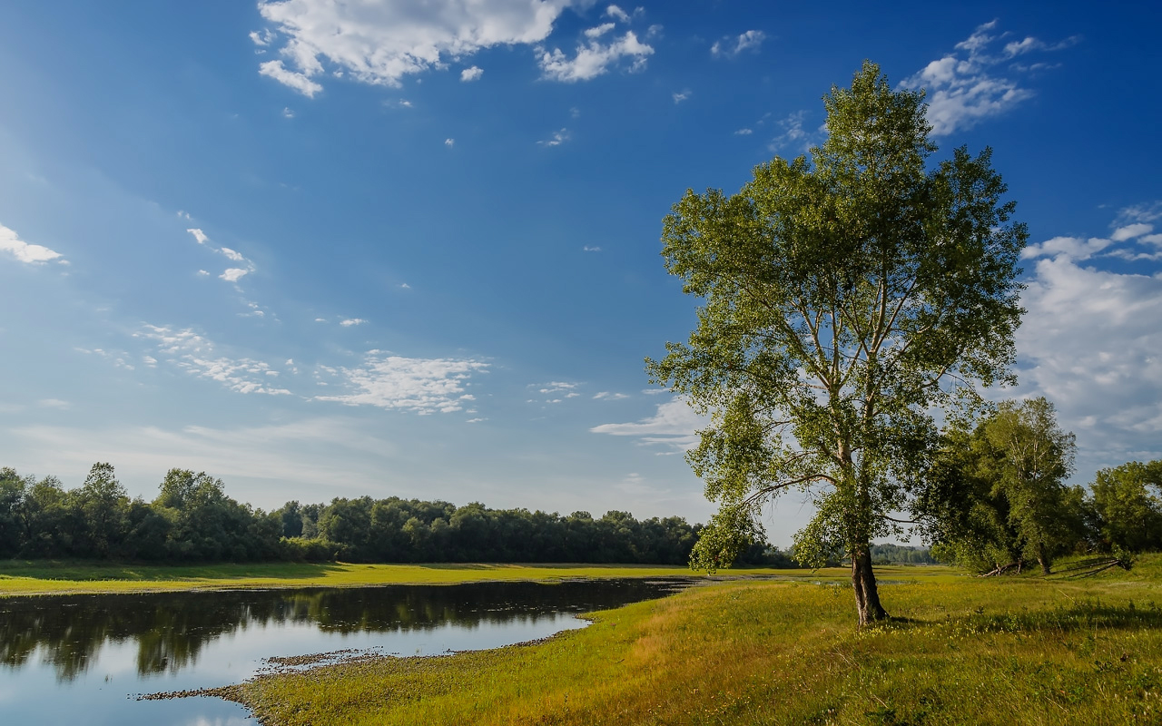 photo "***" tags: landscape, nature, travel, 