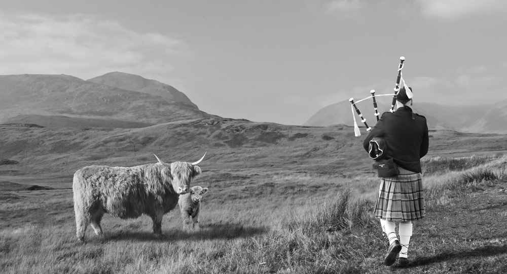 photo "Scotland Highlands Bagpiper" tags: black&white, humor, 
