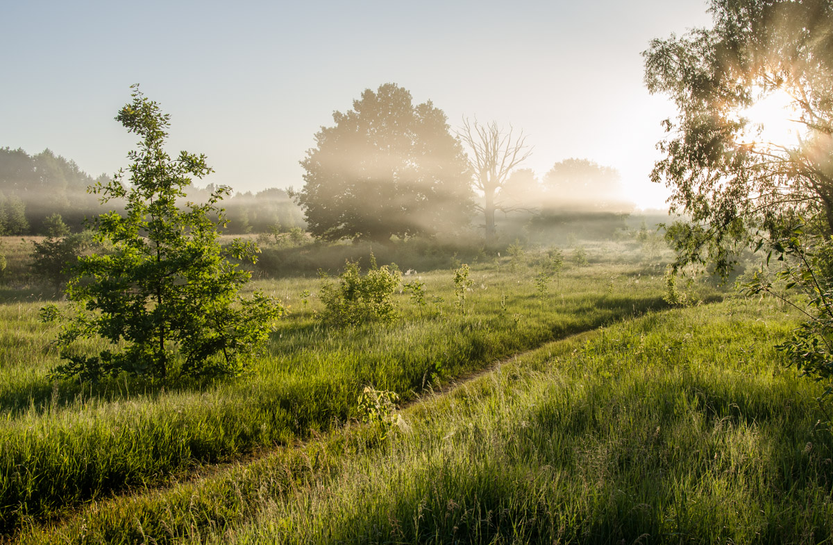 photo "***" tags: landscape, 