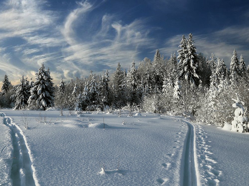 photo "***" tags: landscape, travel, nature, clouds, forest, winter