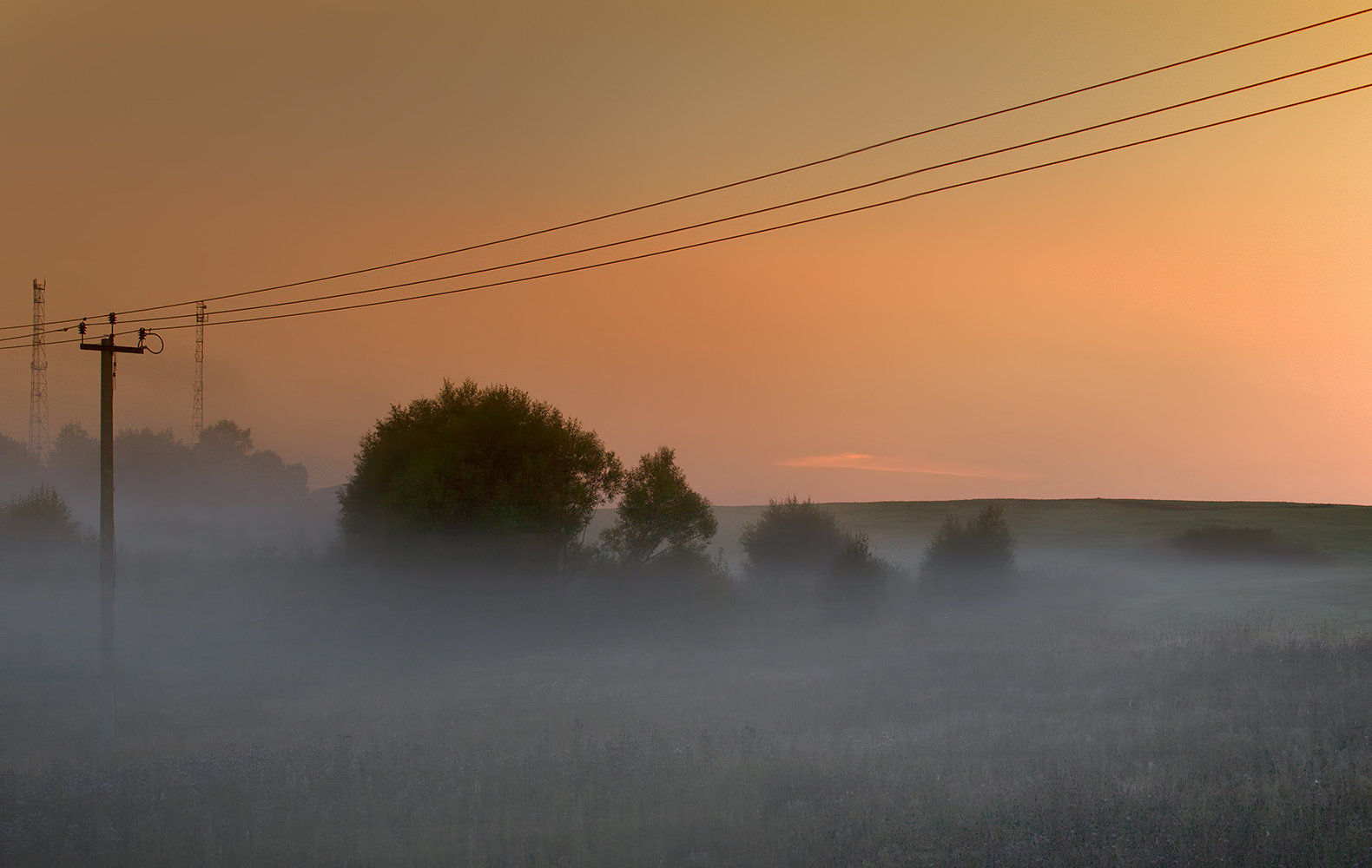 фото "Абрикосовое утро..." метки: пейзаж, природа, 