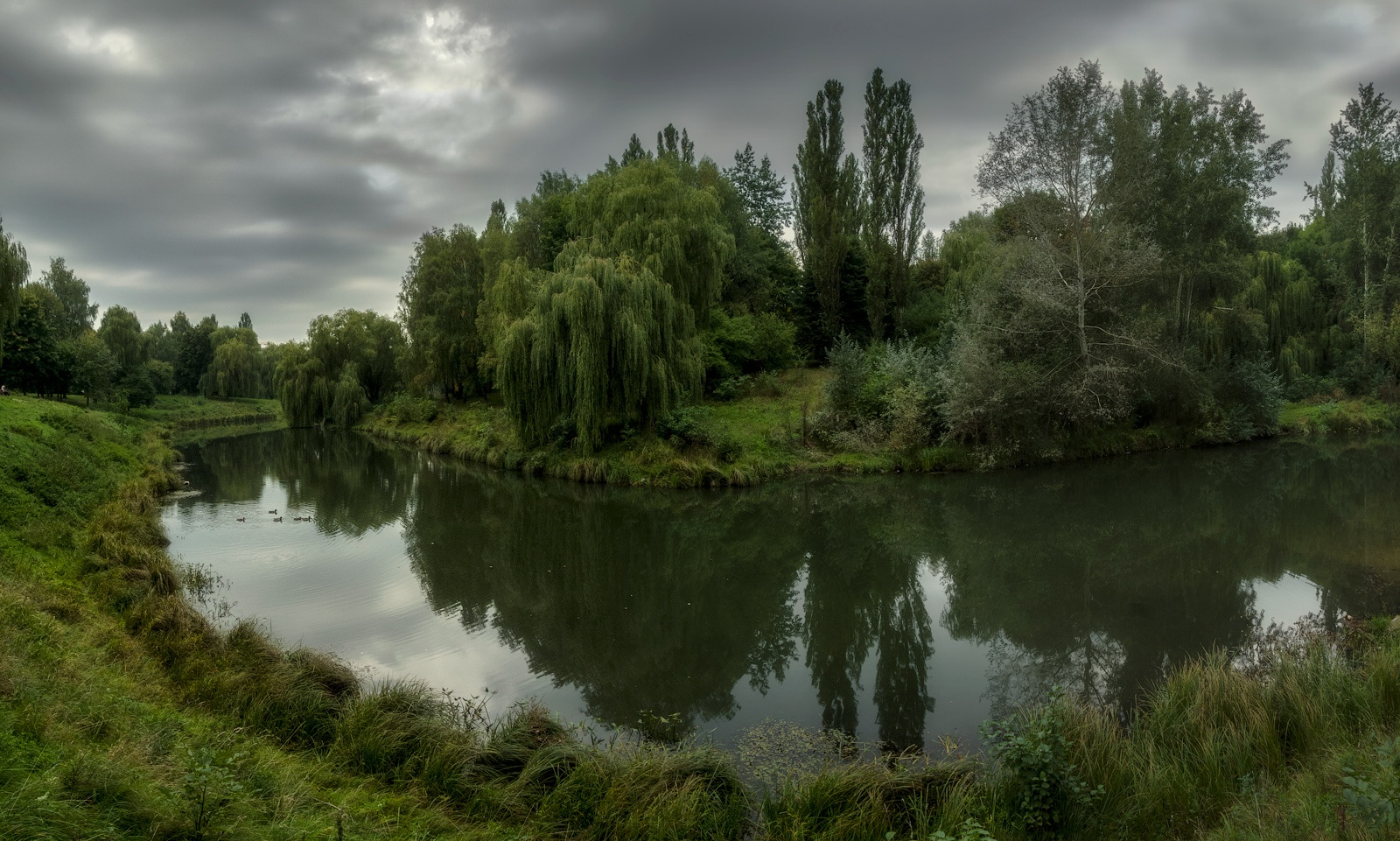 photo "***" tags: landscape, nature, panoramic, 5 вертикальных кадра, clouds, coast, grass, morning, river, деревья, тучи